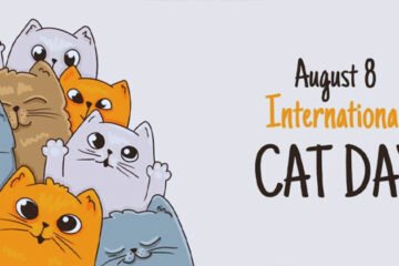 International Cat Day