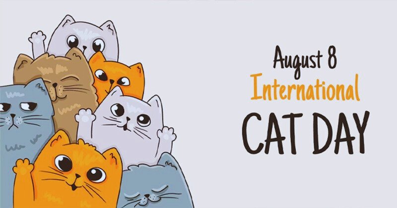 International Cat Day